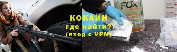 шишки Новодвинск