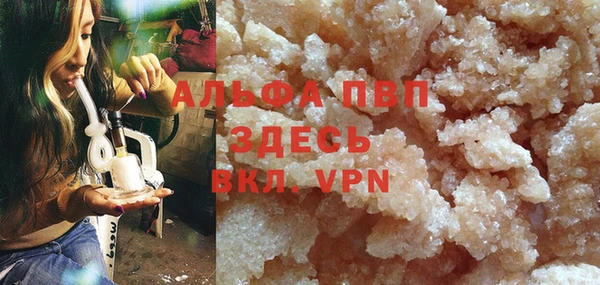 шишки Новодвинск