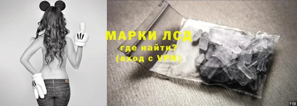 шишки Новодвинск
