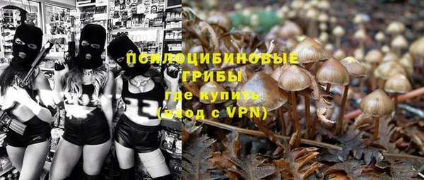 шишки Новодвинск