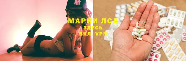 шишки Новодвинск