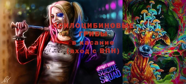 spice Новозыбков