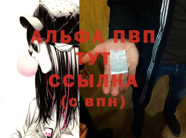 шишки Новодвинск