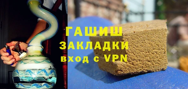 шишки Новодвинск