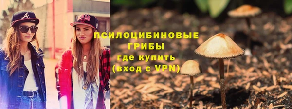 шишки Новодвинск