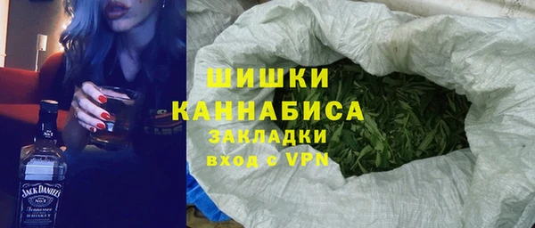 spice Новозыбков