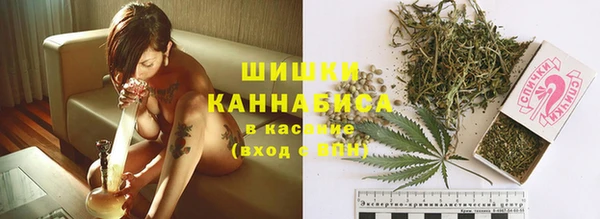 spice Новозыбков