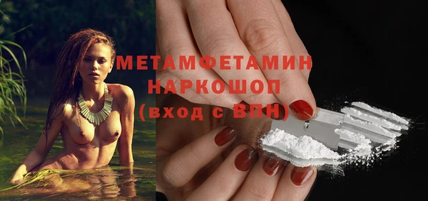 шишки Новодвинск