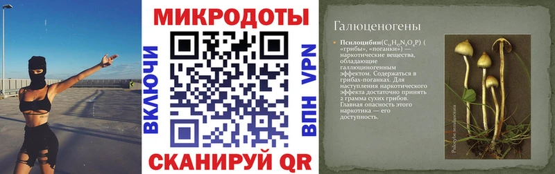 Галлюциногенные грибы прущие грибы кракен ТОР Усть-Лабинск