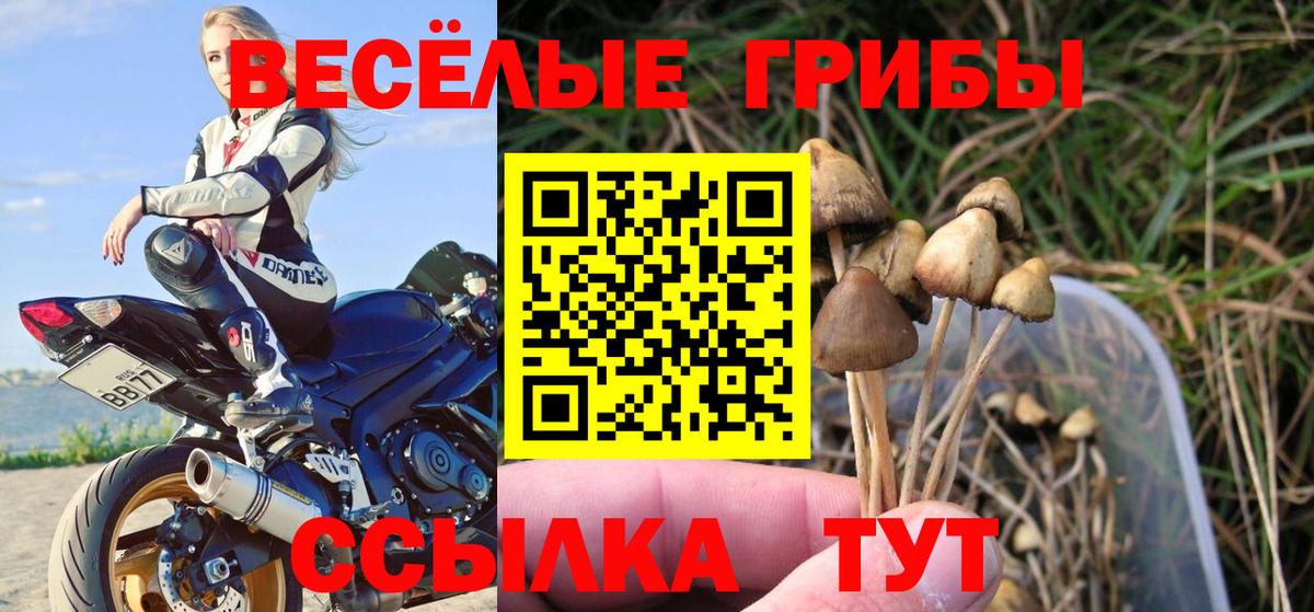 Псилоцибиновые грибы Magic Shrooms Усть-Лабинск
