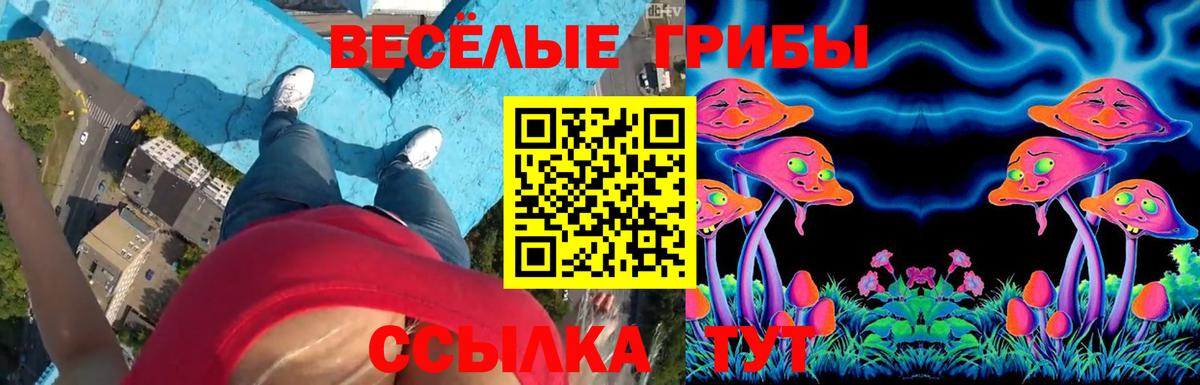 Конопля  Канабис  Усть-Лабинск  Купить закладку  ГАШ  ЭКСТАЗИ  Мефедрон кристаллы  КОКАИН  MDMA  Вход с VPN 
