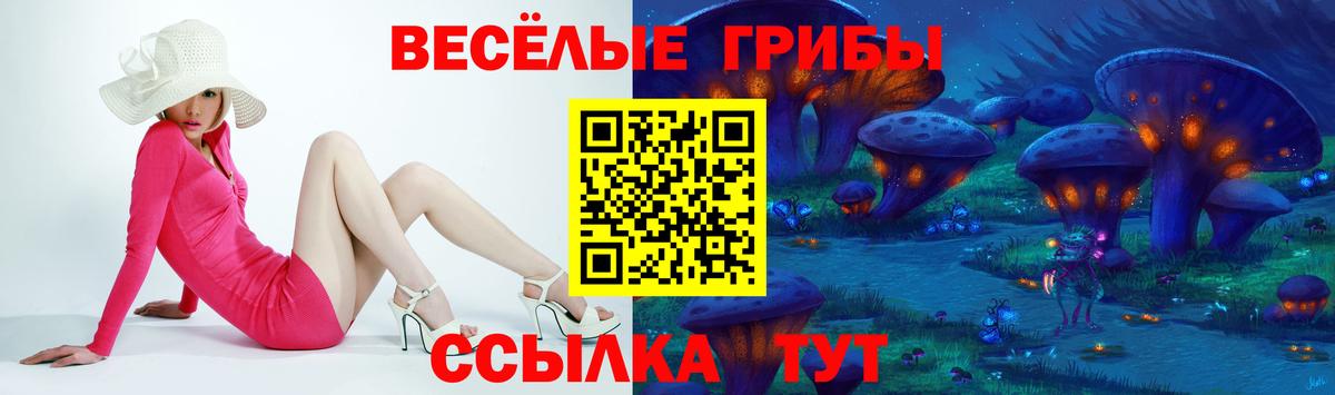 Галлюциногенные грибы Cubensis Усть-Лабинск